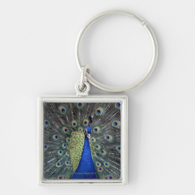 Peacock Key Ring (Front)