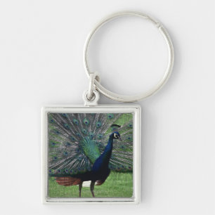 Peacock Key Ring