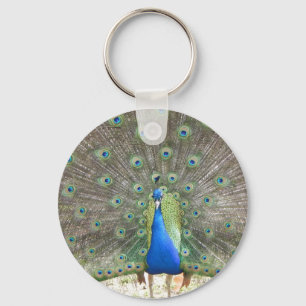 Peacock Keychain