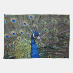 Peacock Kitchen Towel
