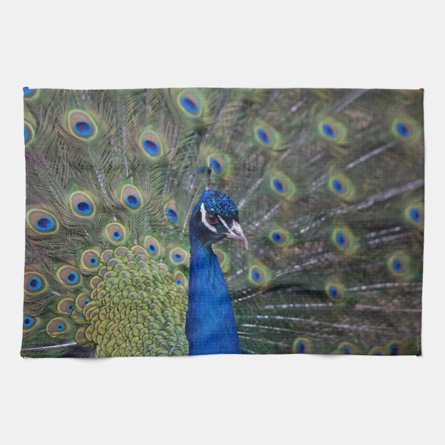 Peacock Kitchen Towel (Horizontal)