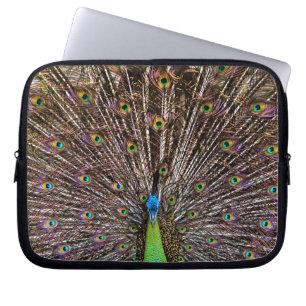 Peacock Laptop Sleeve
