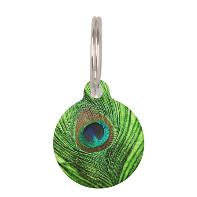 Peacock Lime Green Pet Tag (Front)