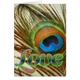 Peacock Love