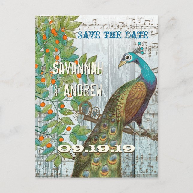 Peacock Love Bird Sitting in a Tree Save the Date Announcement Postcard (Front)