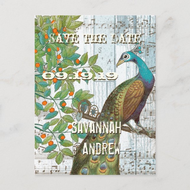 Peacock Love Bird Sitting in a Tree Save the Date Announcement Postcard (Front)