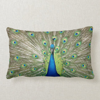 Peacock Lumbar Cushion