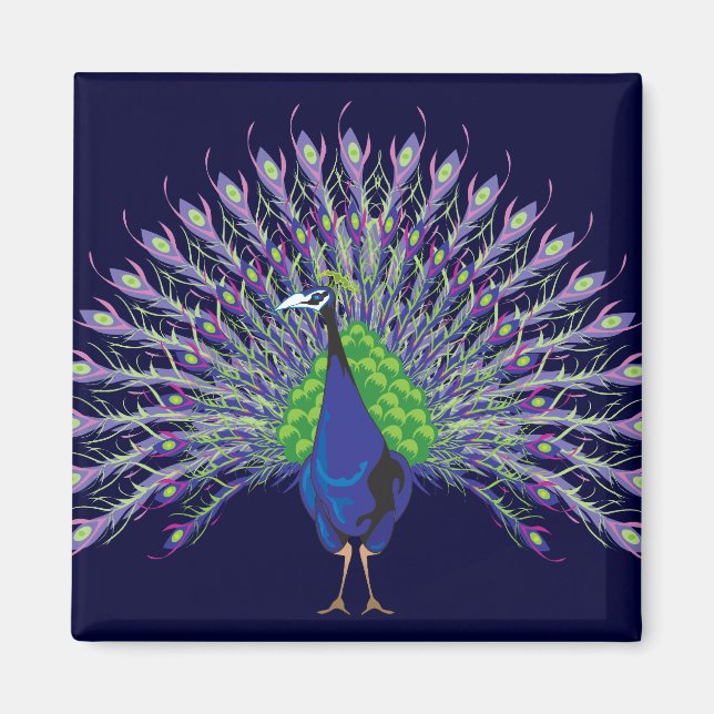 Peacock Magnets (Front)