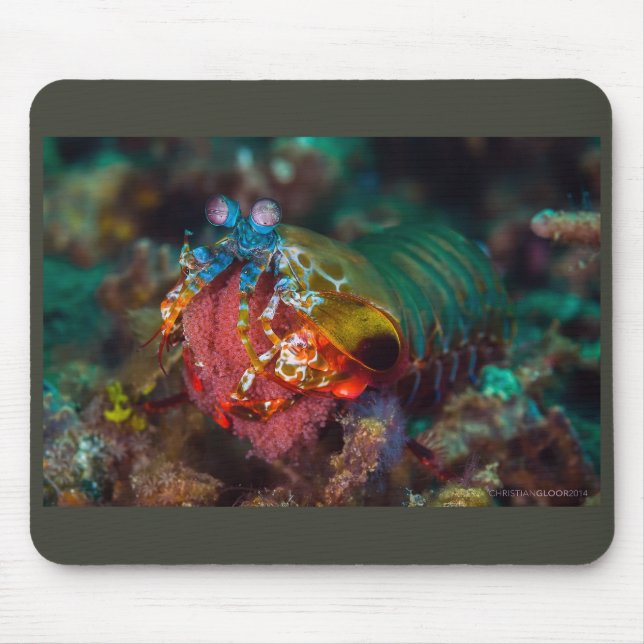 Peacock Mantis Shrimp Mouse Pad (Front)