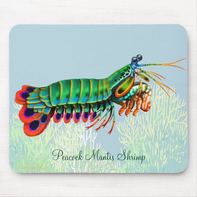 Peacock Mantis Shrimp Reef Animal Mousepad (Front)