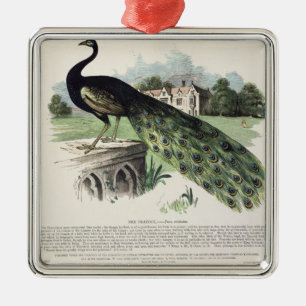 Peacock Metal Ornament
