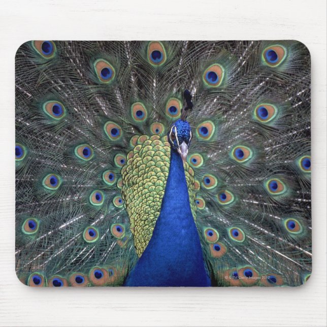 Peacock Mouse Pad (Front)