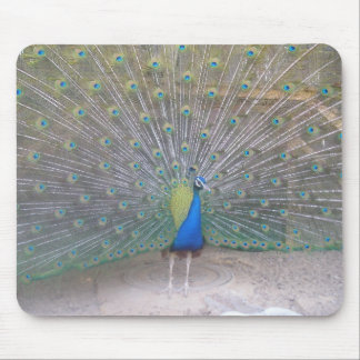 Peacock Mouse Pad