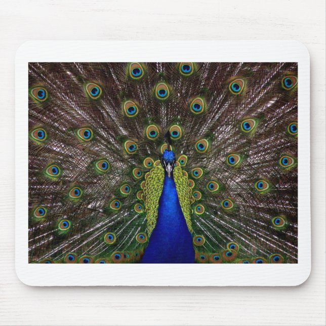 Peacock Mouse Pad (Front)