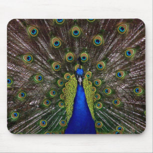 peacock mouse pad