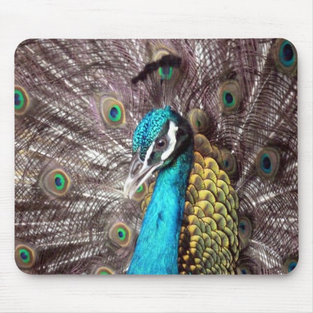 peacock mouse pad (Front)