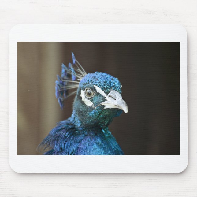 peacock mouse pad (Front)