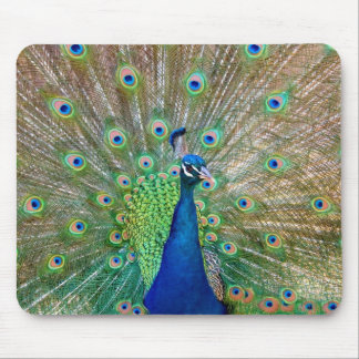 Peacock Mouse Pad
