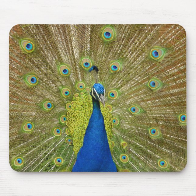 Peacock Mouse Pad (Front)
