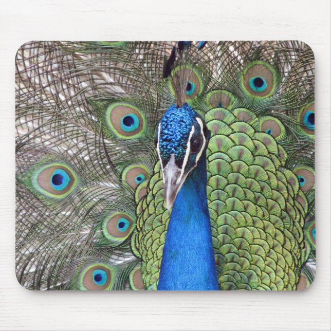 Peacock Mouse Pad (Front)