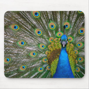 Peacock Mouse Pad