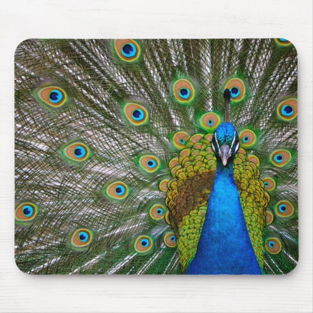 Peacock Mouse Pad (Front)