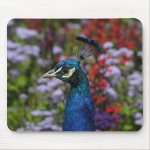 Peacock Mouse Pad