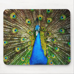 Peacock Mousepad