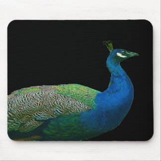 Peacock Mousepad