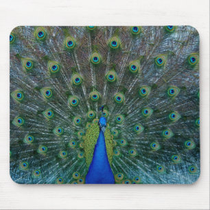Peacock, mousepad