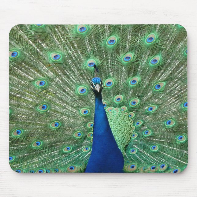 Peacock Mousepad (Front)