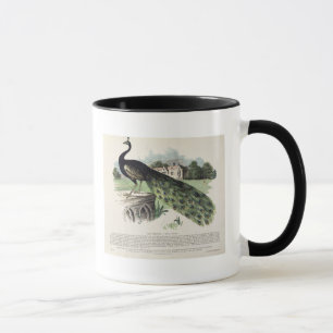 Peacock Mug