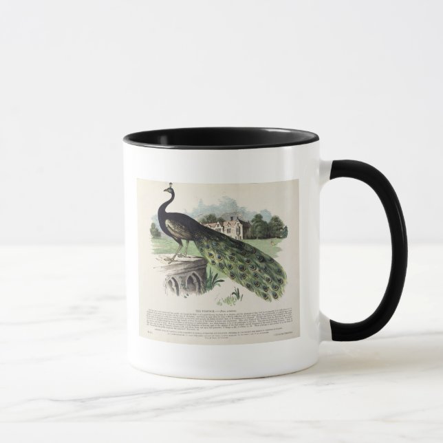 Peacock Mug (Right)
