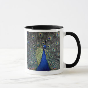 Peacock Mug