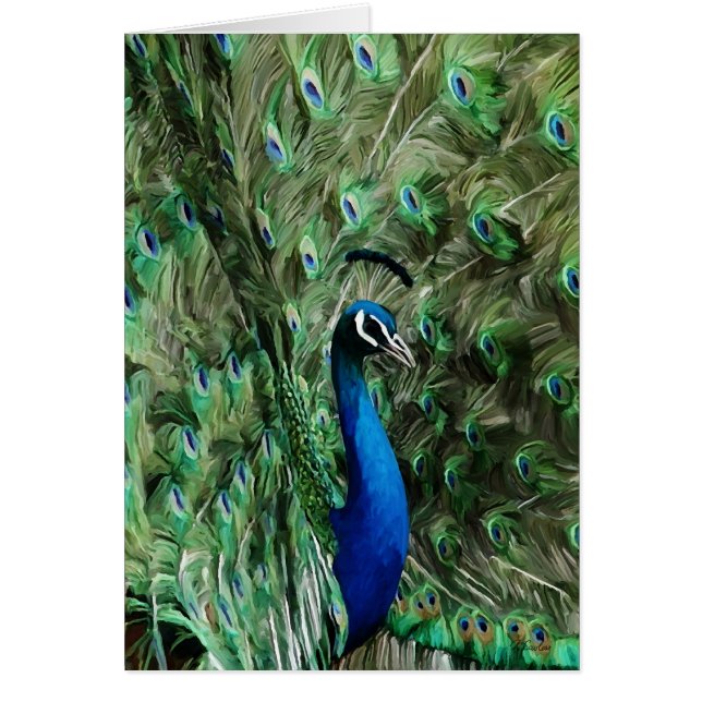 Peacock note care (Front)