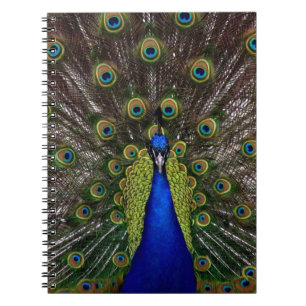 Peacock Notebook