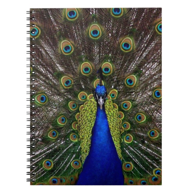 Peacock Notebook (Front)