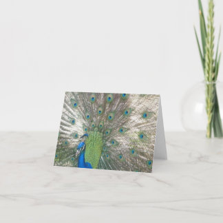 Peacock notecards