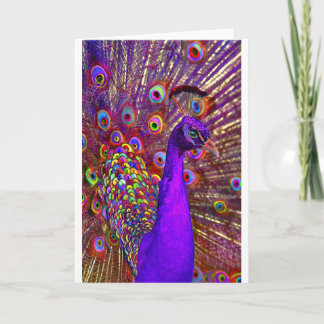 Peacock of a million colours card