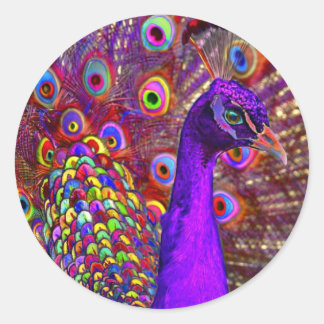 Peacock of a million colours classic round sticker