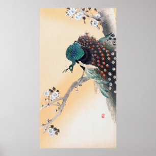 Peacock on a Cherry Blossom Tree, Ohara Koson Poster
