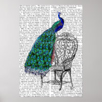 Peacock on Chair