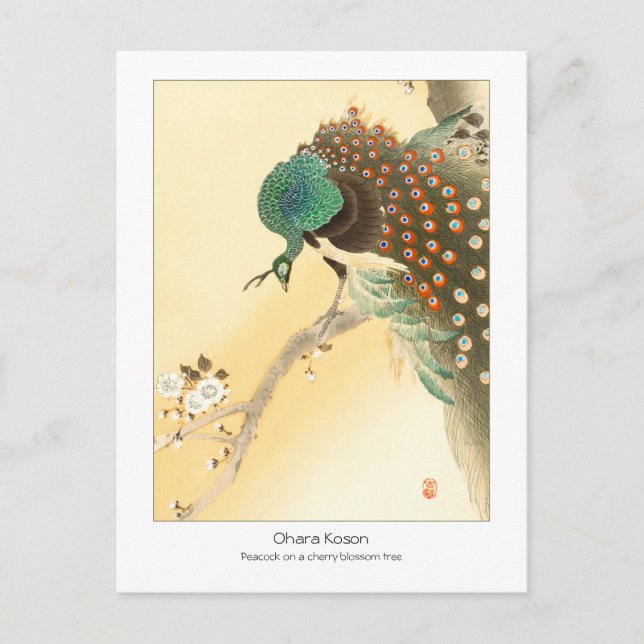 Peacock on cherry blossom tree - Ohara Koson + Postcard (Front)