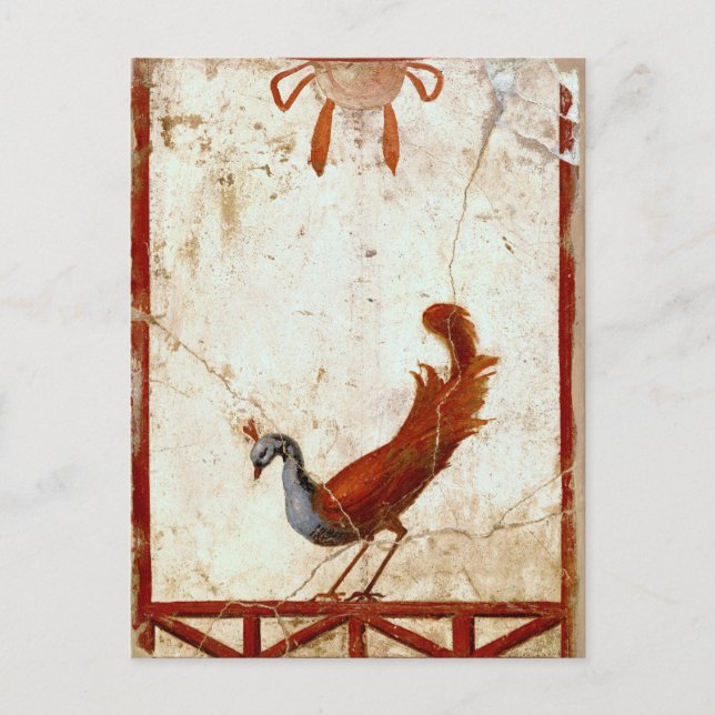 Peacock on Fresco Ancient Roman Antique Painting Postcard (Front)
