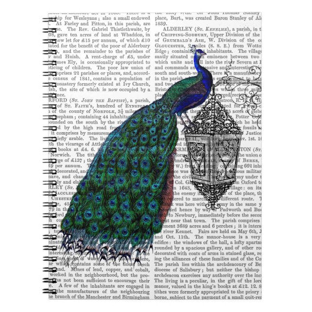 Peacock On Lamp Notebook (Front)
