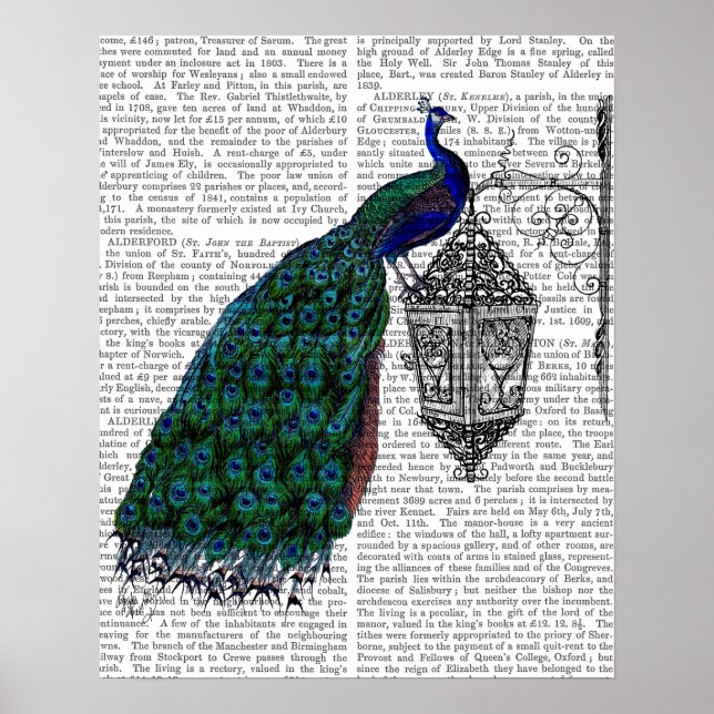 Peacock On Lamp Poster (Front)