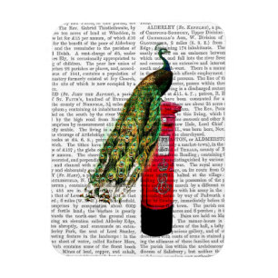 Peacock on Postbox Magnet