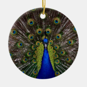 Peacock Ornament