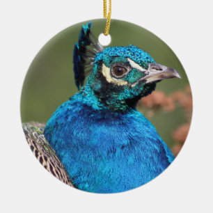 Peacock Ornament
