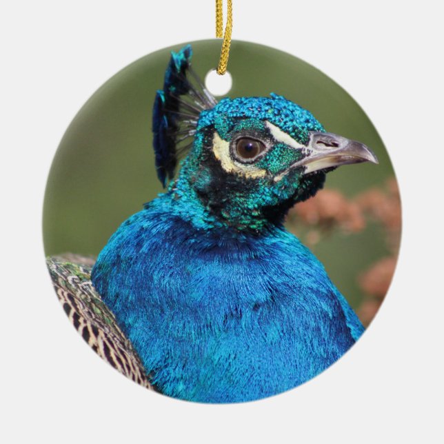 Peacock Ornament (Front)